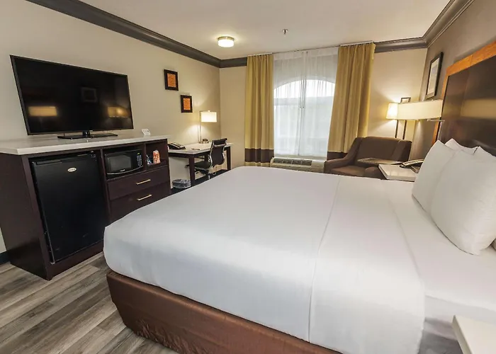 Comfort Inn & Suites Near Universal - N Hollywood - Burbank